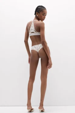 Brazyliany Midsummer Dream